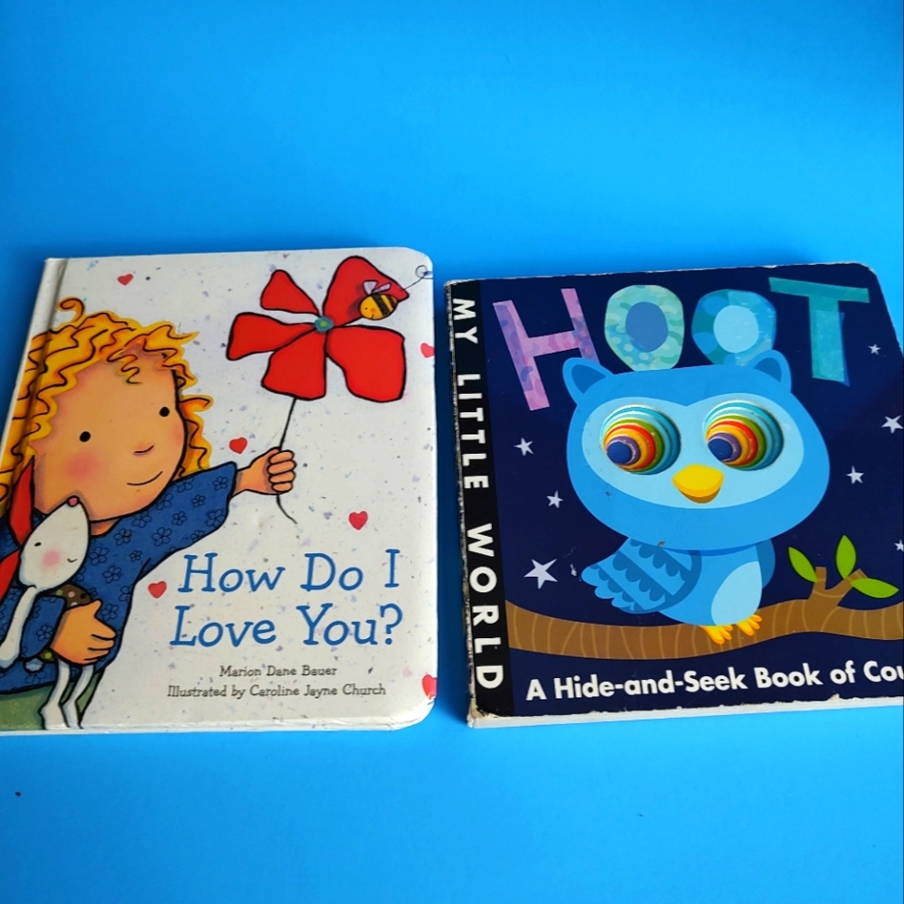 Books toddler 2 pz My little world and How do I love you hard cover